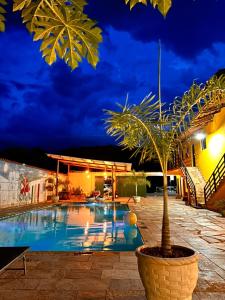 皮雷诺波利斯Pousada Sunflower的游泳池旁边的一个壶子上棕榈树的夜晚