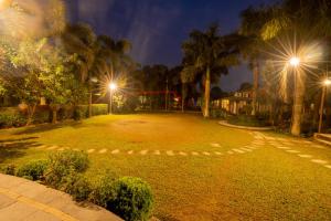 索拉哈森林皇冠酒店的棕榈树和街灯的公园