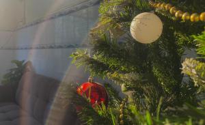 Ấp Lợi ÐủARYE guest house的红饰的圣诞树