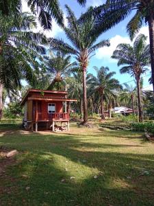 高兰Som PalmGarden的棕榈树田里的一个小房子
