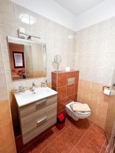 基什孔弗莱吉哈佐Malom Panzió的一间带水槽、卫生间和镜子的浴室