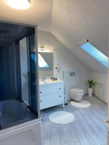 锡吉什瓦拉Silvan Villa - Apart的浴室配有卫生间、盥洗盆和淋浴。