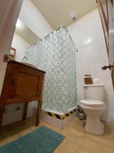 圣地亚哥Castelletto Bed & Breakfast的带淋浴帘和卫生间的浴室