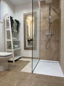 库姆布勒德尔索尔Panoramic Apartment的浴室设有玻璃淋浴间和卫生间