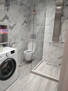 萨索斯Dukas Apartment的一间带洗衣机和卫生间的浴室