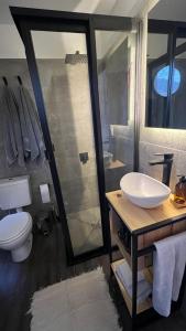 卢汉德库约Deer Glamping的浴室配有卫生间、盥洗盆和淋浴。