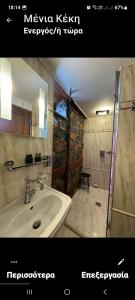 帕雷斯阿吉萨那Montecristo Chalet的一张带水槽和淋浴的浴室的照片