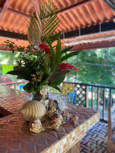 PalmillaOcekepala的带有花瓶的桌子,上面有植物和贝壳