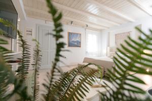 圣安娜纳克索斯伊里亚海滩艺术酒店的一间带床和植物的客厅