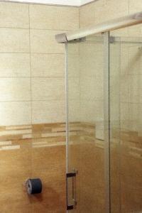 PianoLadimoradiLu'的浴室设有玻璃淋浴间,配有卫生纸