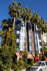 阿拉尼亚Comfort Suites的一座棕榈树建筑