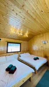 泽尔内什蒂View Piatra Craiului的木墙客房的两张床