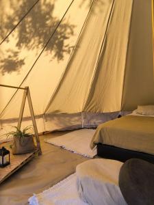 圣拉斐尔Vivac Camp的帐篷,配有两张床和植物