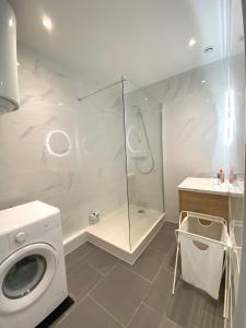 贝尔福Magnifique T2 40m2 lumineux, moderne et rénové avec fibre的一间带洗衣机和淋浴的浴室