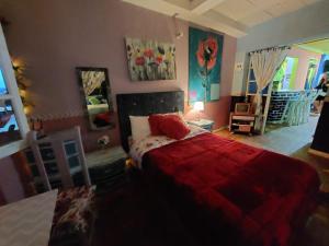 锡帕基拉MACONDO apartamento turistico tematico的一间卧室配有一张带红色毯子的床