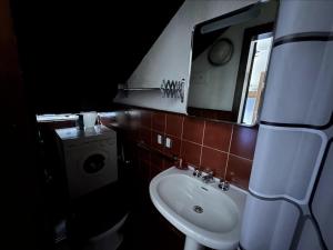 摩德纳迪-坎皮格里奥Appartamento Patascoss的一间带水槽和镜子的浴室