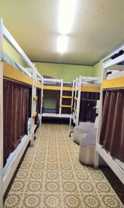 基希讷乌Roots Hostel的一间房间,内设几张双层床