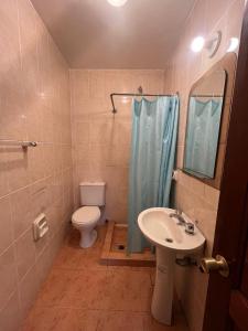 拉巴斯The Hidden House Hostel的浴室配有卫生间、盥洗盆和淋浴。