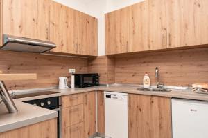 别拉什尼察HH apartments的厨房配有木制橱柜、水槽和微波炉