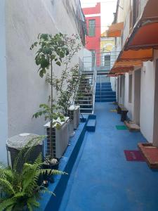 萨尔瓦多A Casa dos Mestres的建筑一侧的走廊上,有楼梯和盆栽植物