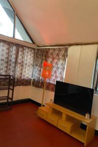 阿鲁沙Cottage in Arusha-Wanderful Escape的客厅配有平面电视和台灯。