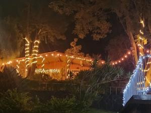 Cerro de OroCASA XOCOMIL的夜晚装饰着圣诞灯的房子
