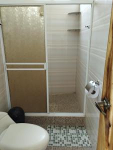 阿扬格Imelda House的带淋浴和卫生间的浴室
