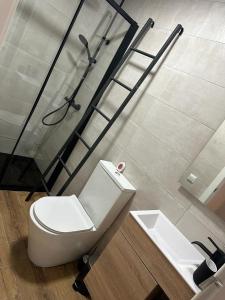 格拉纳达Apartamento 10 minutos de centro de Granada的一间带卫生间和水槽的浴室