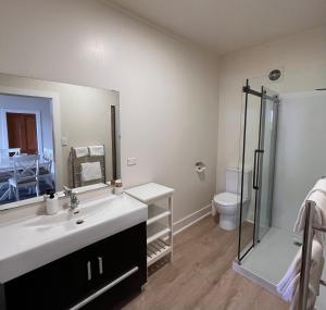 芒奥努伊Mangonui Waterfront Apartments的一间带水槽、淋浴和卫生间的浴室