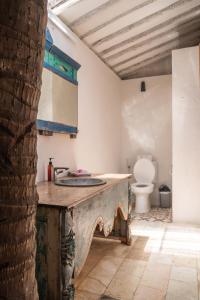 吉利阿尔吉利埃尔椰子旅舍的一间带水槽和卫生间的浴室