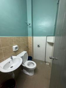 昔加末S&S Homestay Segamat的一间带卫生间和水槽的浴室