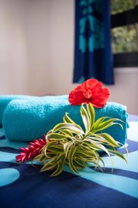 波拉波拉Matira Beach Raitea 1的红花坐在蓝色桌子上