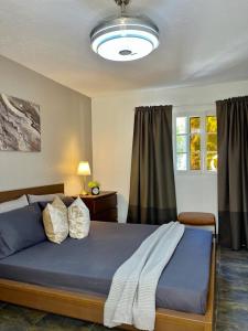 Profil Bois Pin的一间卧室配有一张大床,提供蓝色的床单和枕头