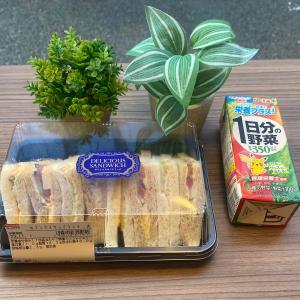 东京NPlus Hotel 东神田-秋叶原的夹三明治塑料容器,放在桌子上,与植物一起