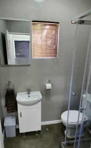 布隆方丹Cottage Rose的一间带水槽、卫生间和镜子的浴室