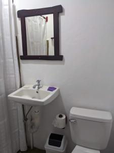 南圣胡安Chale's House Hotel的一间带水槽、卫生间和镜子的浴室