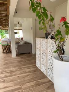 蓝海湾Le Clos des Bains Mauritius的客厅铺有木地板,配有盆栽植物
