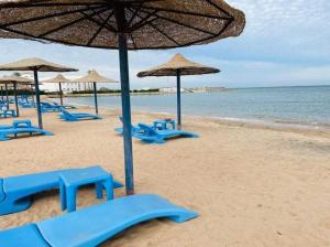 赫尔格达سيسيليا ريزورت的海滩上设有蓝色的椅子和遮阳伞,还有大海