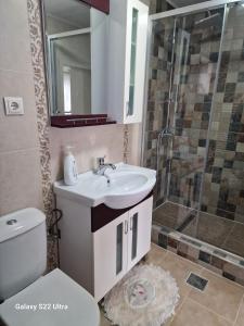 莱斯诺夫Apartament Teilor的一间带水槽和淋浴的浴室