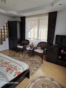 莱斯诺夫Apartament Teilor的一间卧室配有一张床、椅子和电视