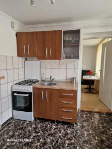 莱斯诺夫Apartament Teilor的厨房配有水槽和炉灶 顶部烤箱
