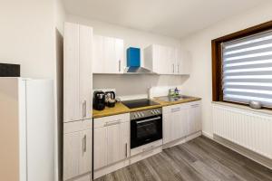 特里贝格Apartment Tea 1的厨房配有白色橱柜、水槽和冰箱。