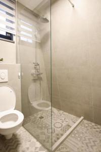 亚霍里纳Winter House TT Jahorina的一间带卫生间和玻璃淋浴间的浴室