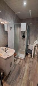 蒙热内夫尔瓦莱里酒店的带淋浴、盥洗盆和卫生间的浴室