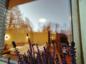 摩拉瓦托普利采畔可儿旅馆的一间设有一张床和紫色花窗的房间
