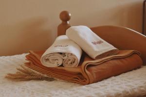 摩拉瓦托普利采畔可儿旅馆的床上的一大堆毛巾