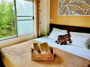 西塔努Mangrove beach house Sri Thanu的一张带窗户的床上的毛巾篮