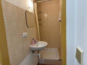 卡罗维发利Loft apartment Svahova 6的一间带水槽和淋浴的小浴室