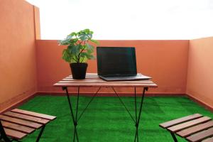 IguesteCasa Morales的桌上的笔记本电脑,上面有盆栽植物