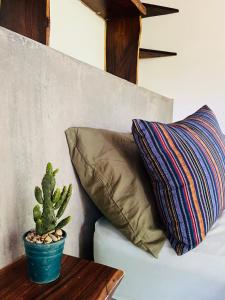 El PlantelAgora at Playa Maderas - Surf House, Cabanas and Casitas的一张带枕头的沙发,一张桌子上有一个仙人掌